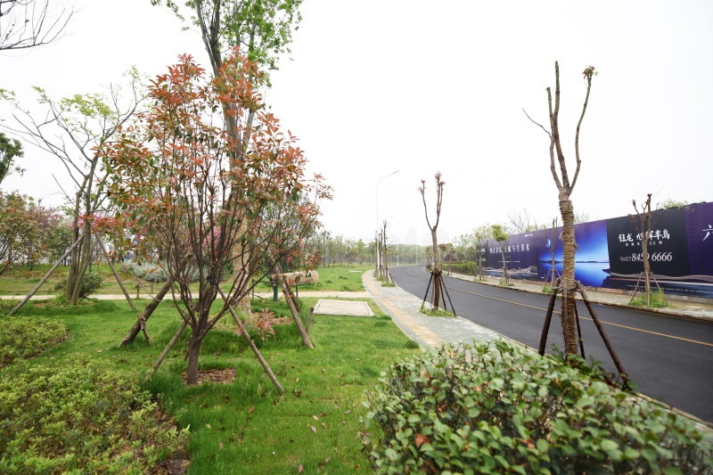 ��������(�й���)�ٷ���վ