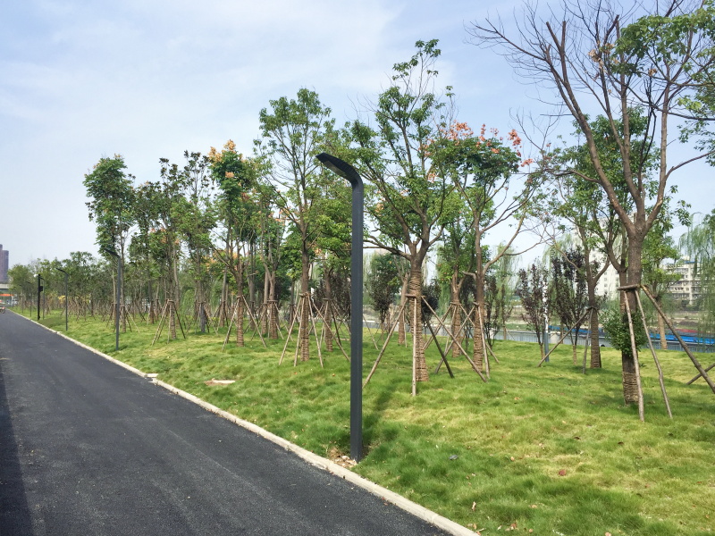 ��������(�й���)�ٷ���վ