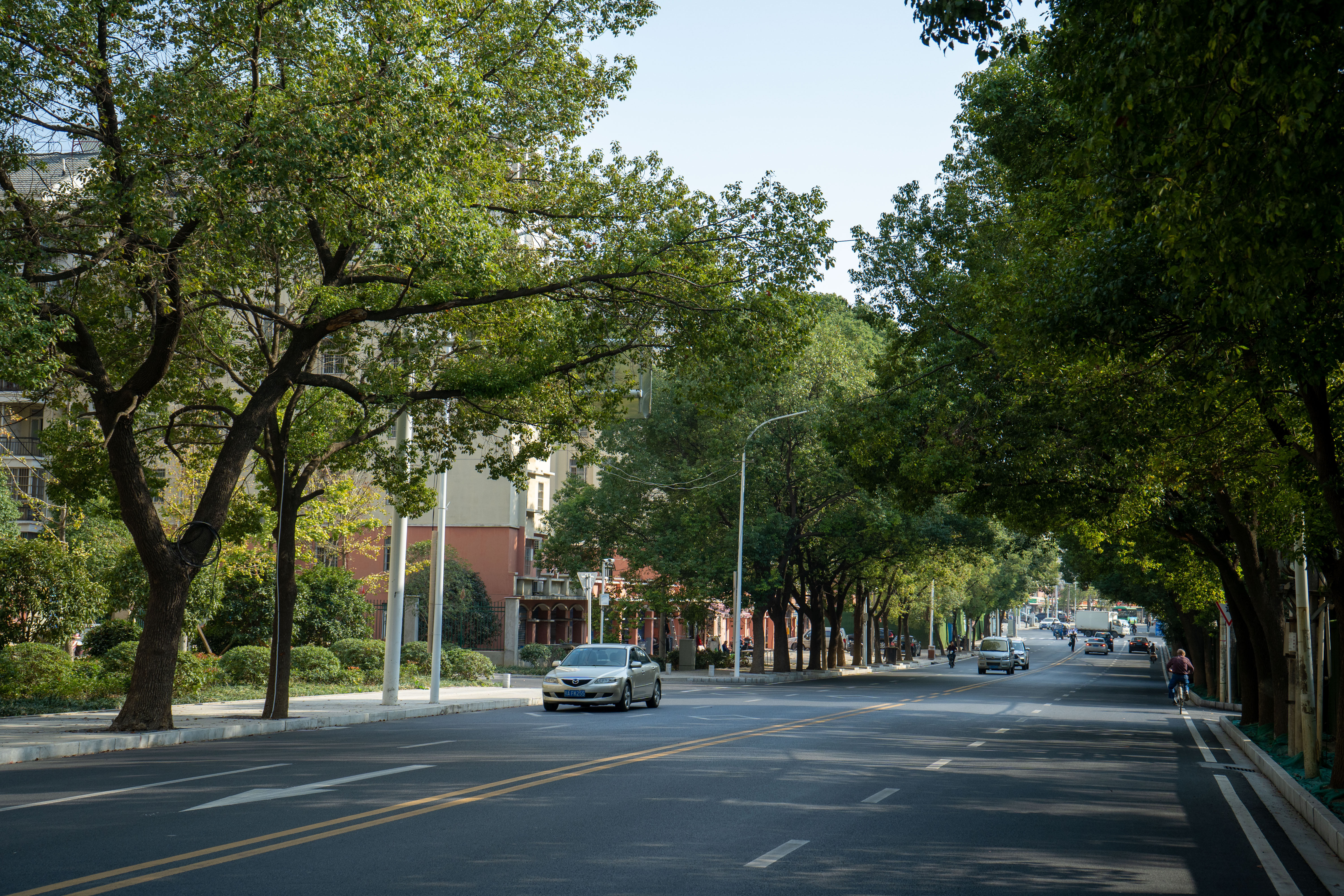 ��������(�й���)�ٷ���վ