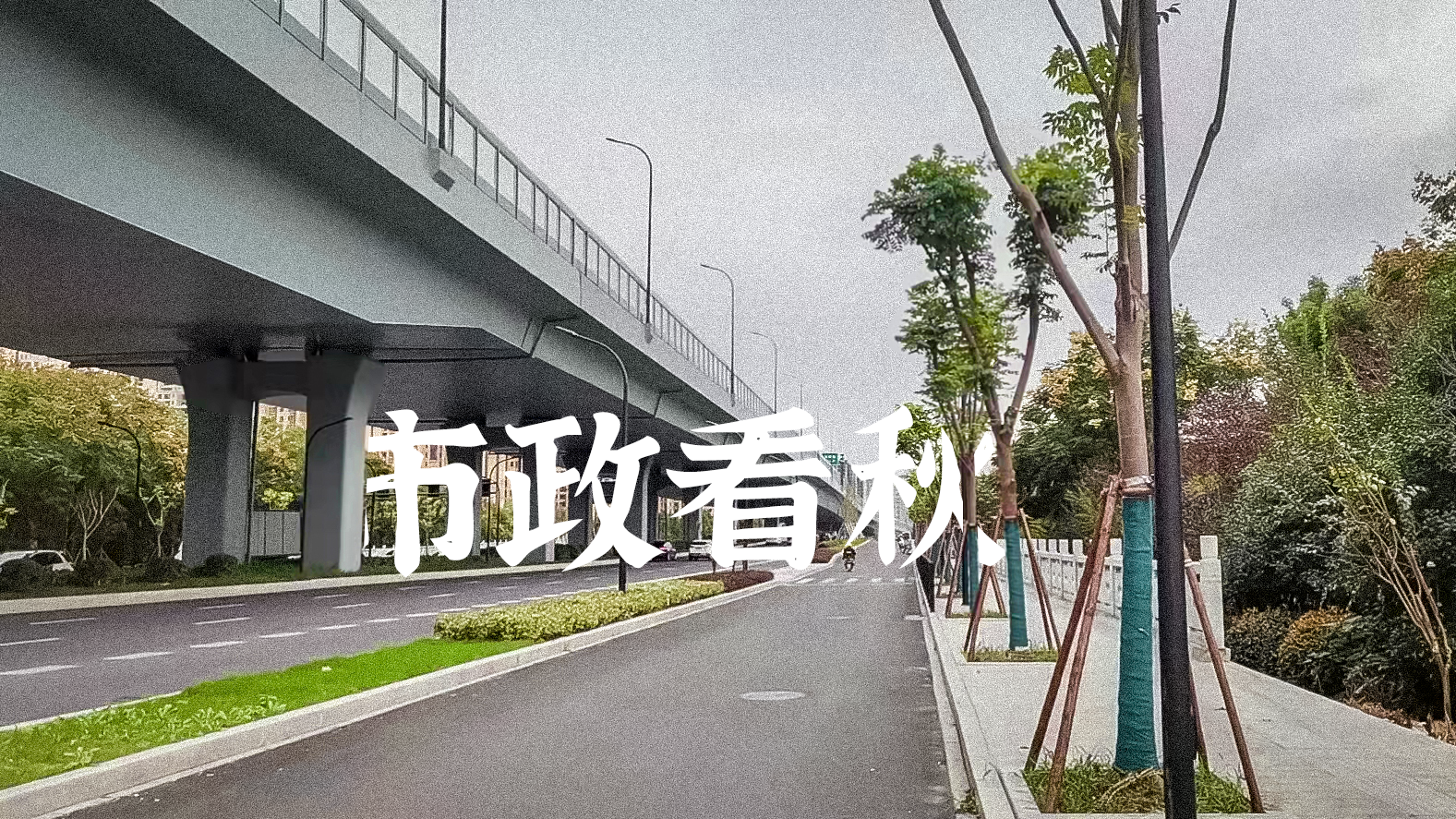 ��������(�й���)�ٷ���վ