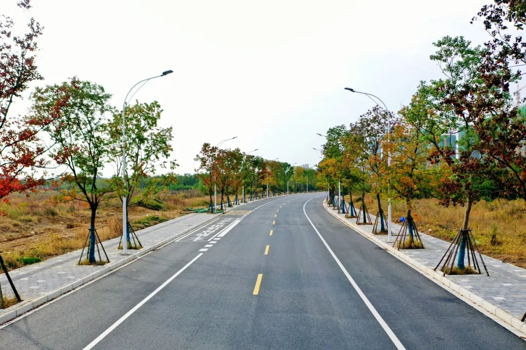 Àû·¢¹ú¼Ê(ÖйúÓÎ)¹Ù·½ÍøÕ¾