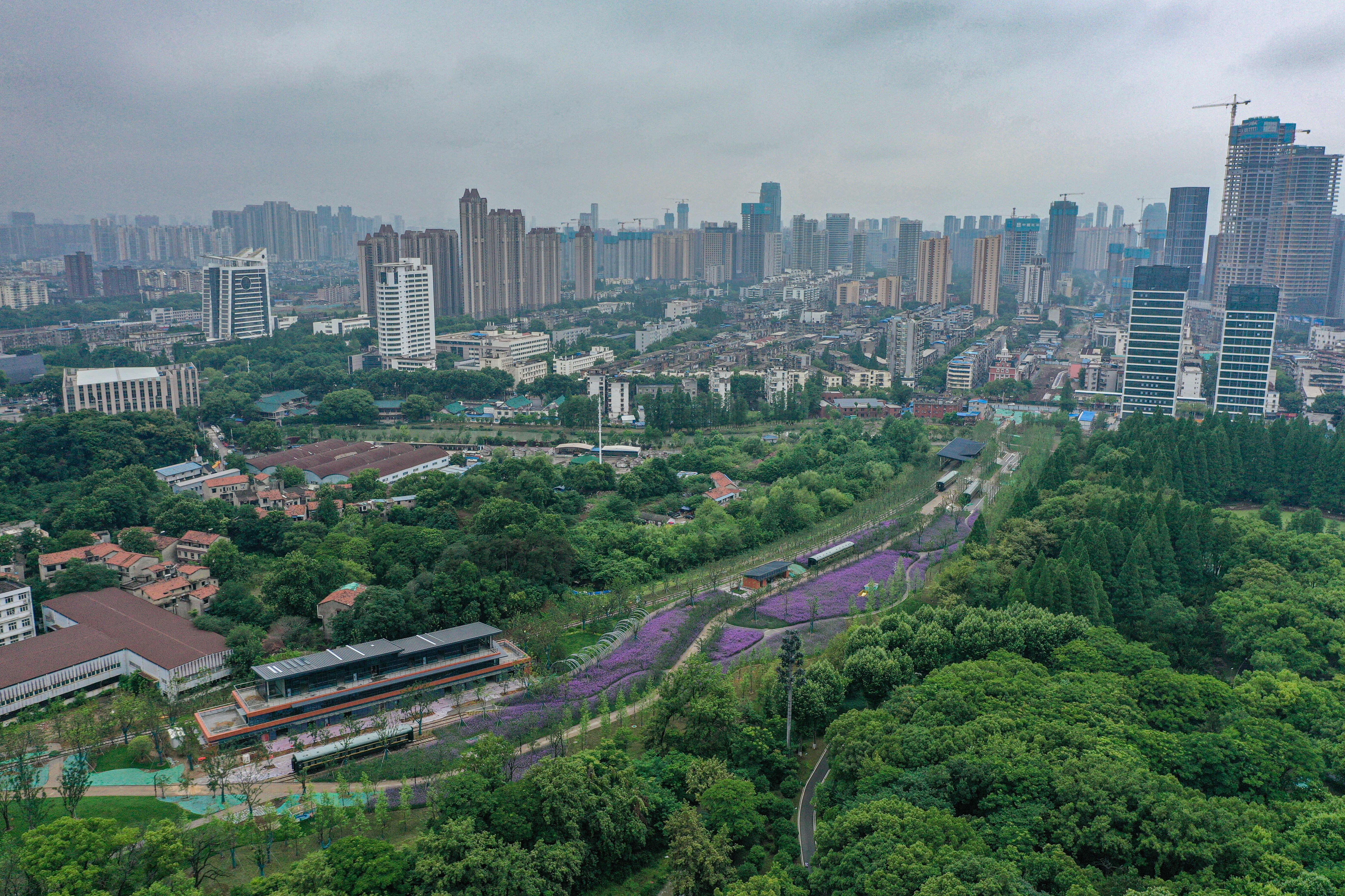 ��������(�й���)�ٷ���վ