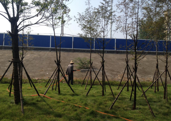 ��������(�й���)�ٷ���վ