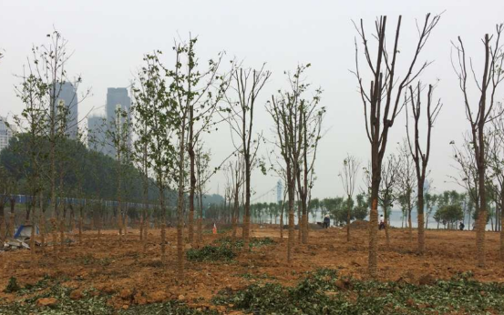 ��������(�й���)�ٷ���վ