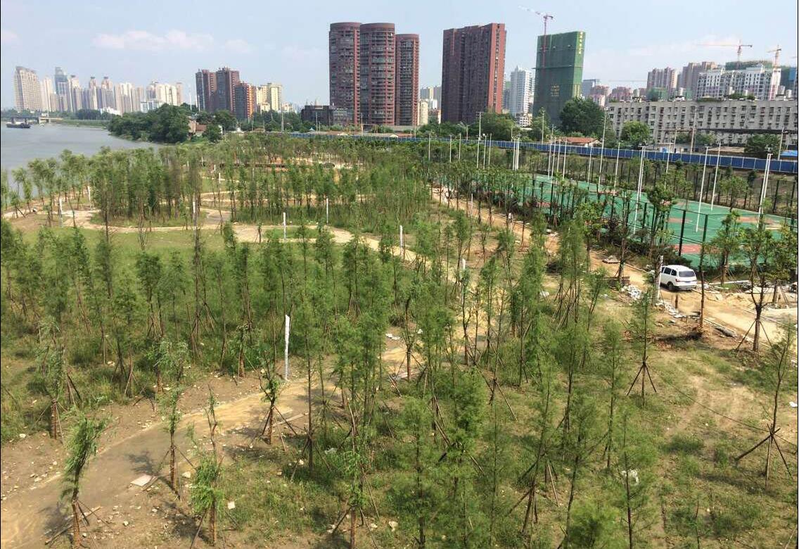 ��������(�й���)�ٷ���վ