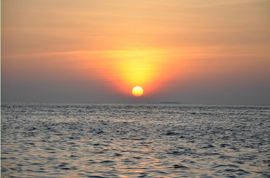 ��������(�й���)�ٷ���վ