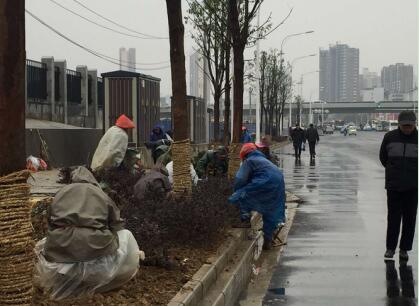 Àû·¢¹ú¼Ê(ÖйúÓÎ)¹Ù·½ÍøÕ¾