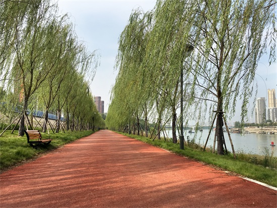 ��������(�й���)�ٷ���վ