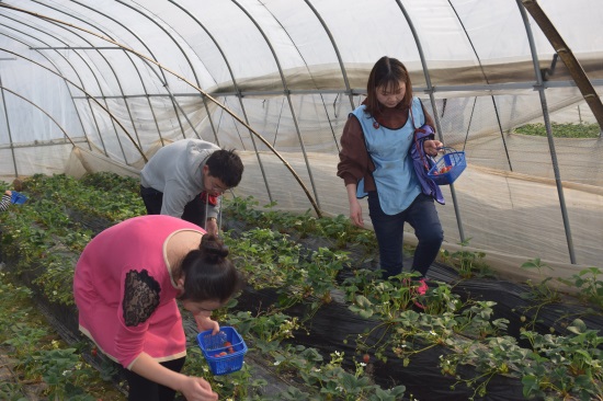 ��������(�й���)�ٷ���վ