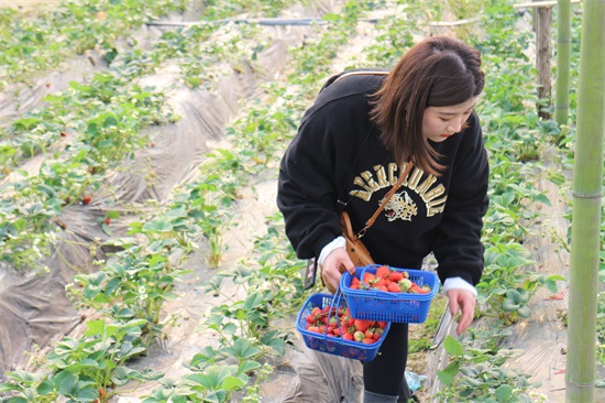 ��������(�й���)�ٷ���վ