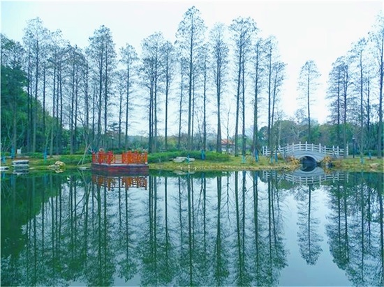 ��������(�й���)�ٷ���վ