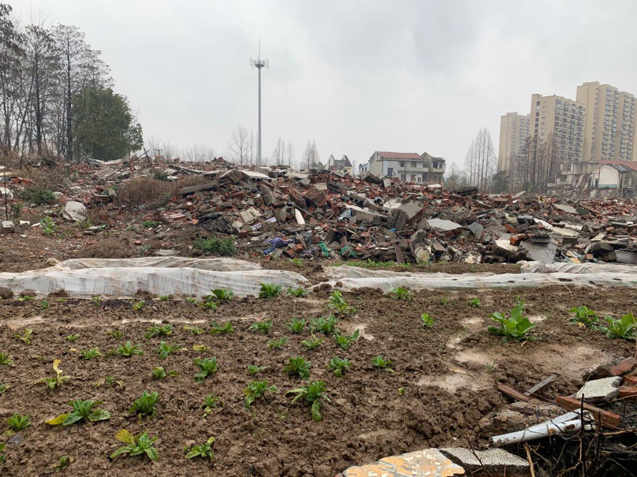 ��������(�й���)�ٷ���վ