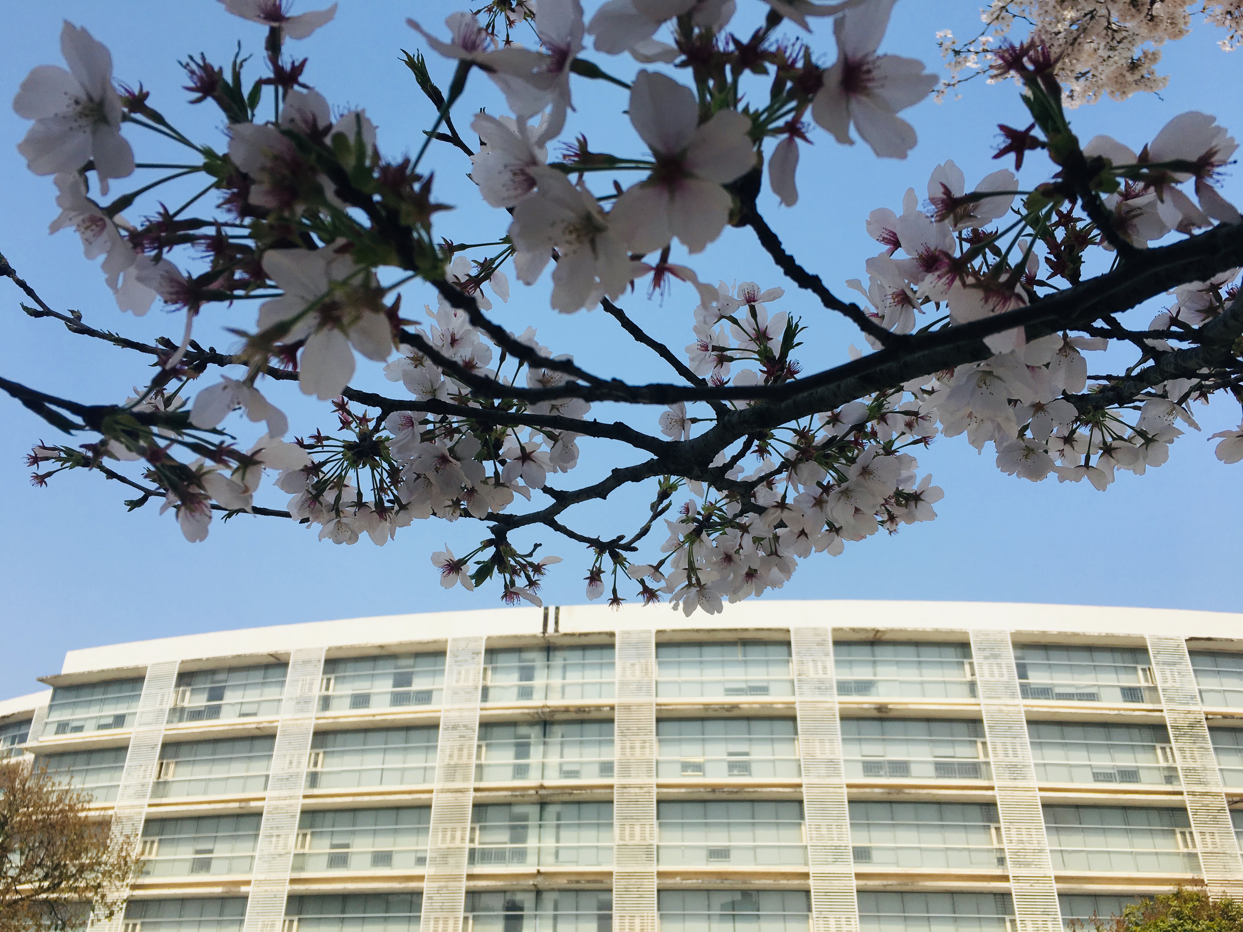 ��������(�й���)�ٷ���վ