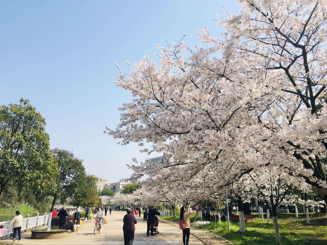 ��������(�й���)�ٷ���վ