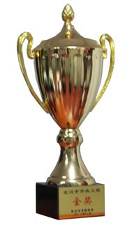 ��������(�й���)�ٷ���վ